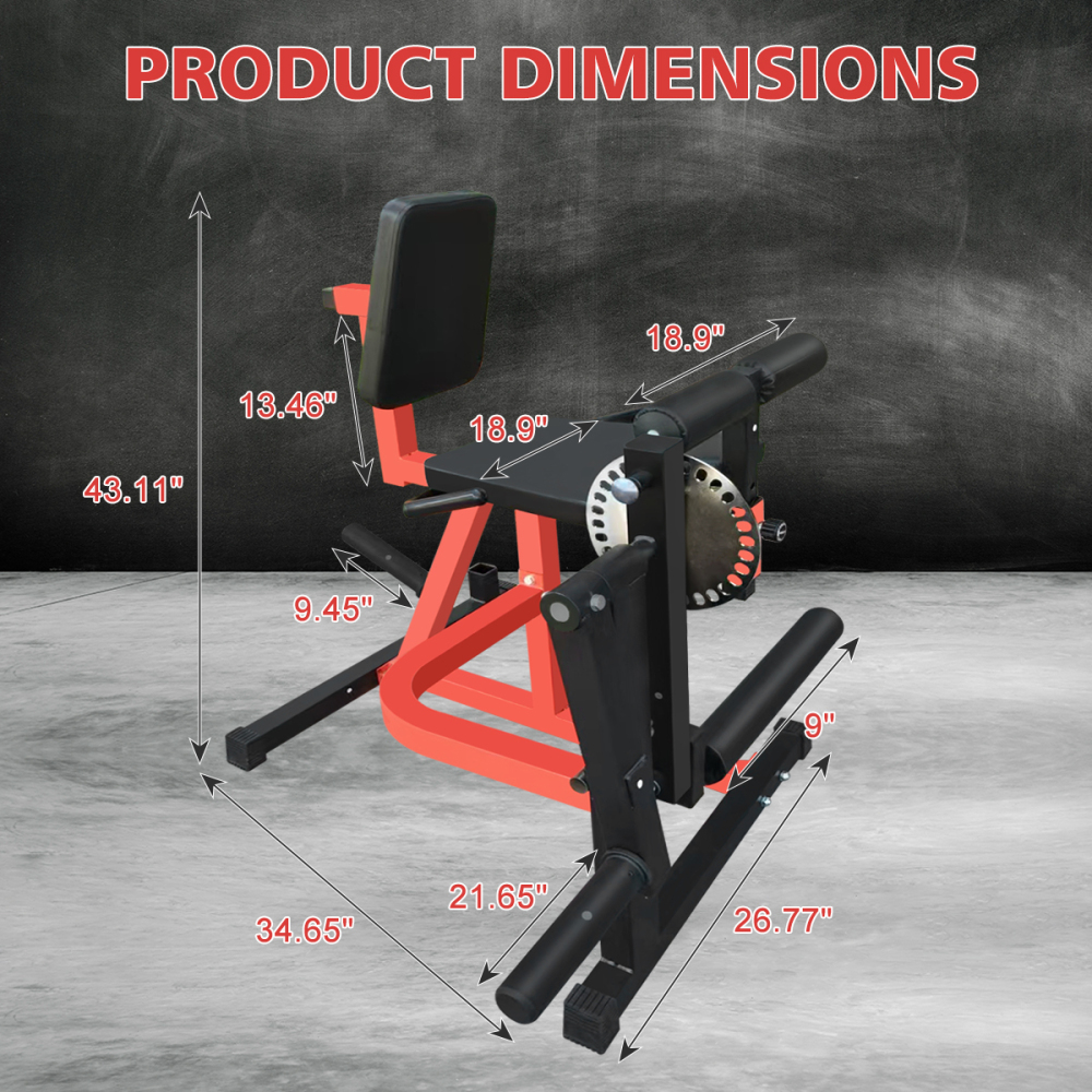 Home Gym Leg Extension - Macchina Regolabile per Estensione e Flessione