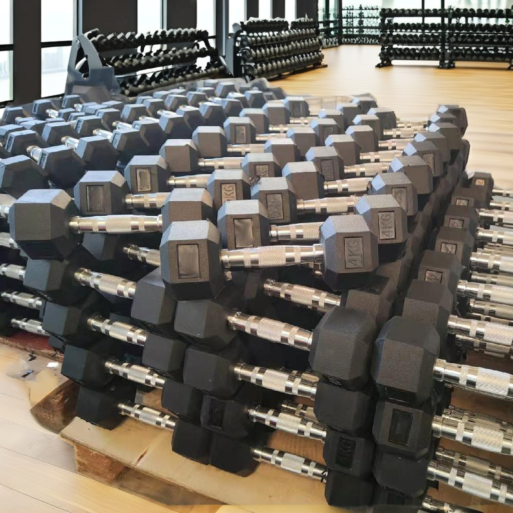 Manubri esagonali in ghisa per - Hex Dumbbell Set recensione e prezzo