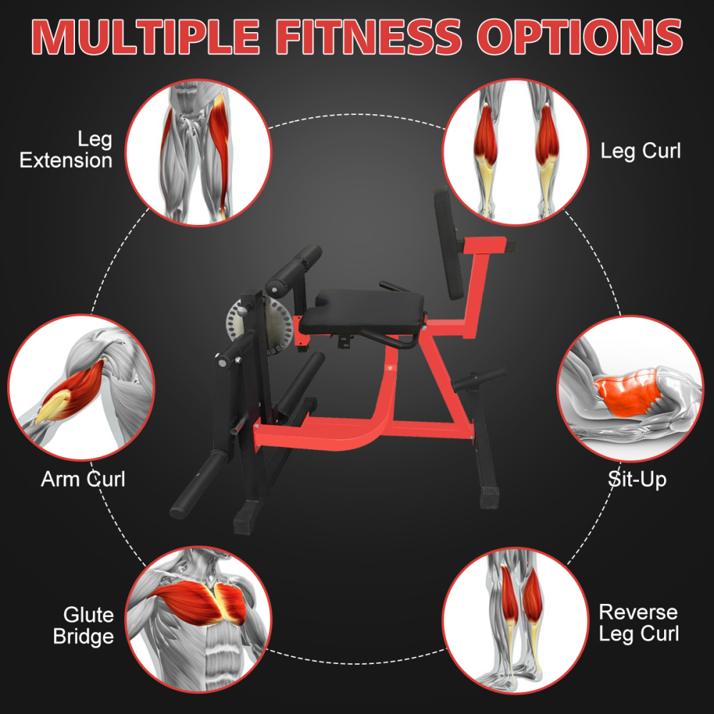 Macchina Regolabile per Estens - Home Gym Leg Extension recensione e prezzo