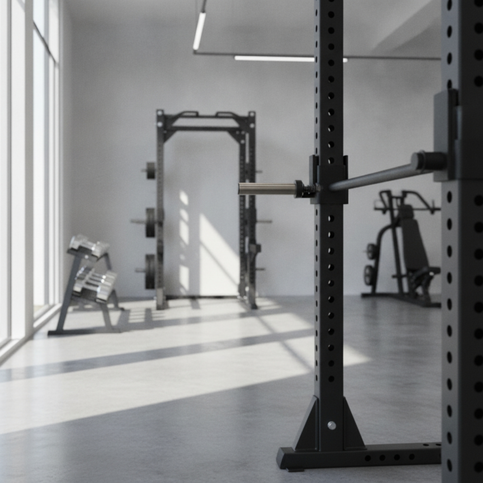 Perno di Carico con Estremità  - Home Gym Usa recensione e prezzo