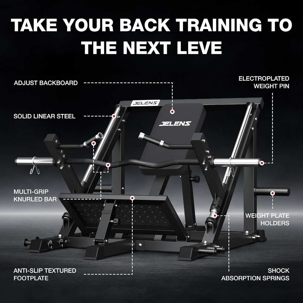 Macchina per il remo lineare d - Home Gym System recensione e prezzo