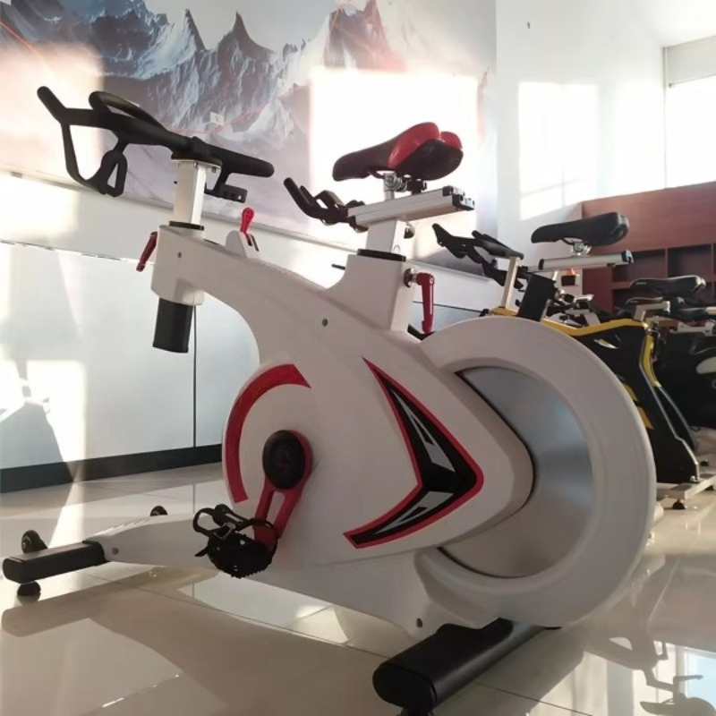 Cyclette Professionale per Pal - Home Gym System recensione e prezzo