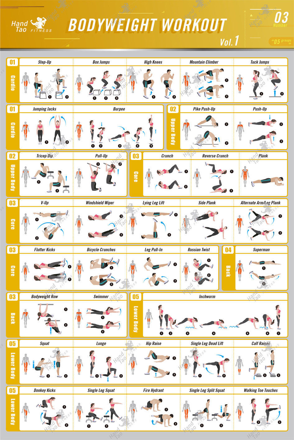 Allenamento con il proprio pes - Home Gym Guide recensione e prezzo