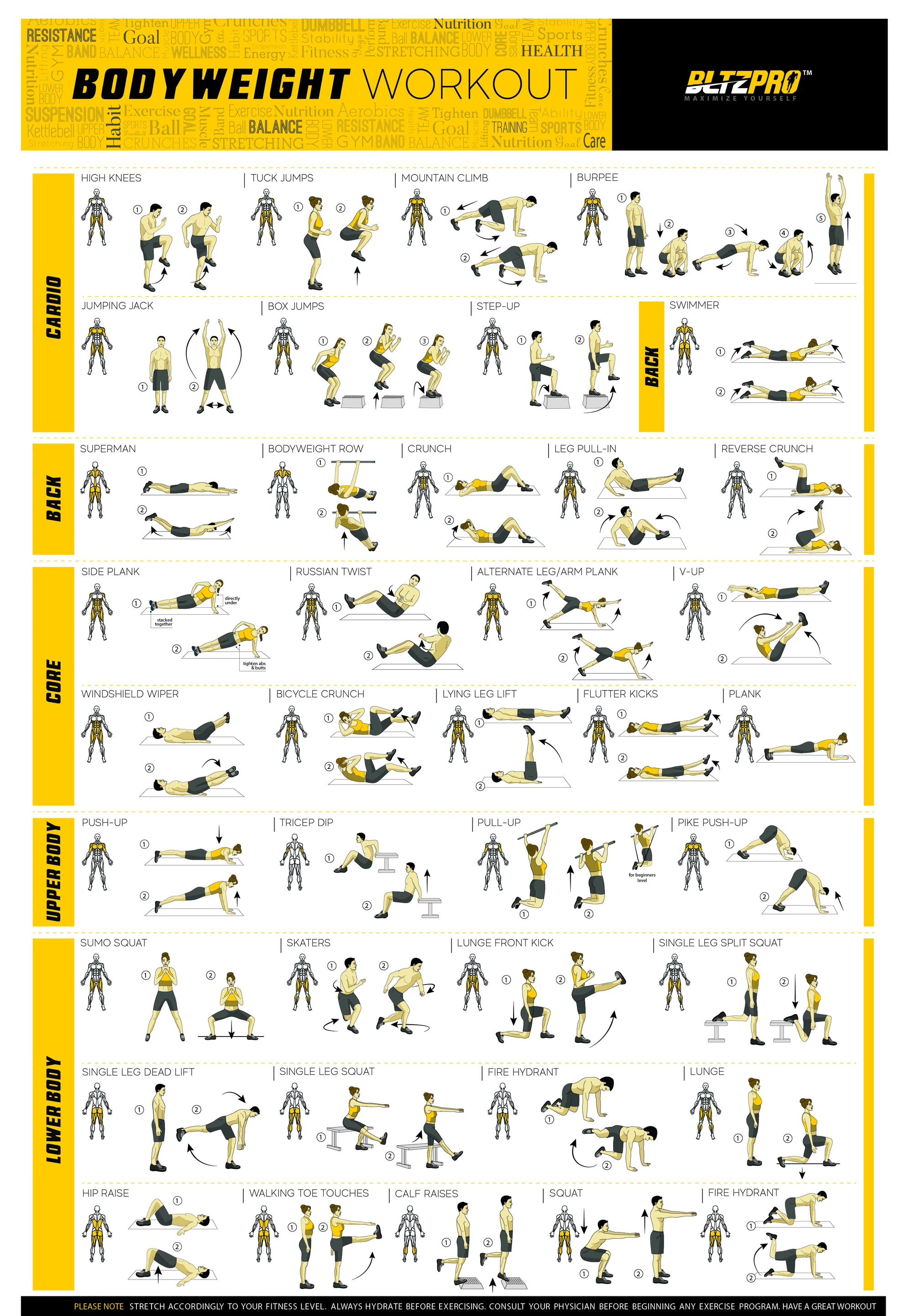 Allenamento con il proprio pes - Home Gym Guide recensione e prezzo
