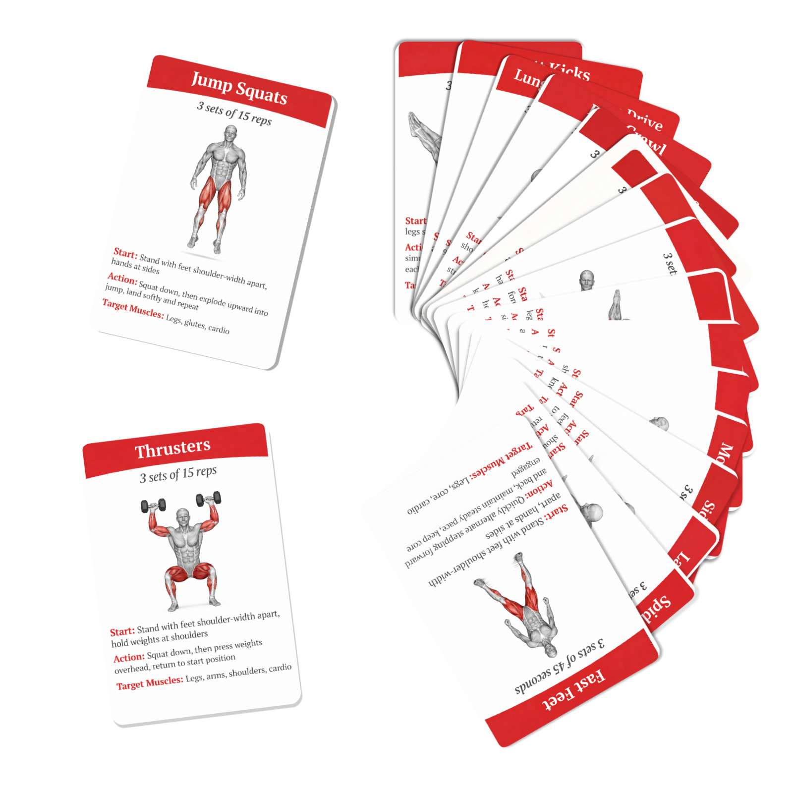 36 carte guida per l'allenamen - Home Gym Guide recensione e prezzo