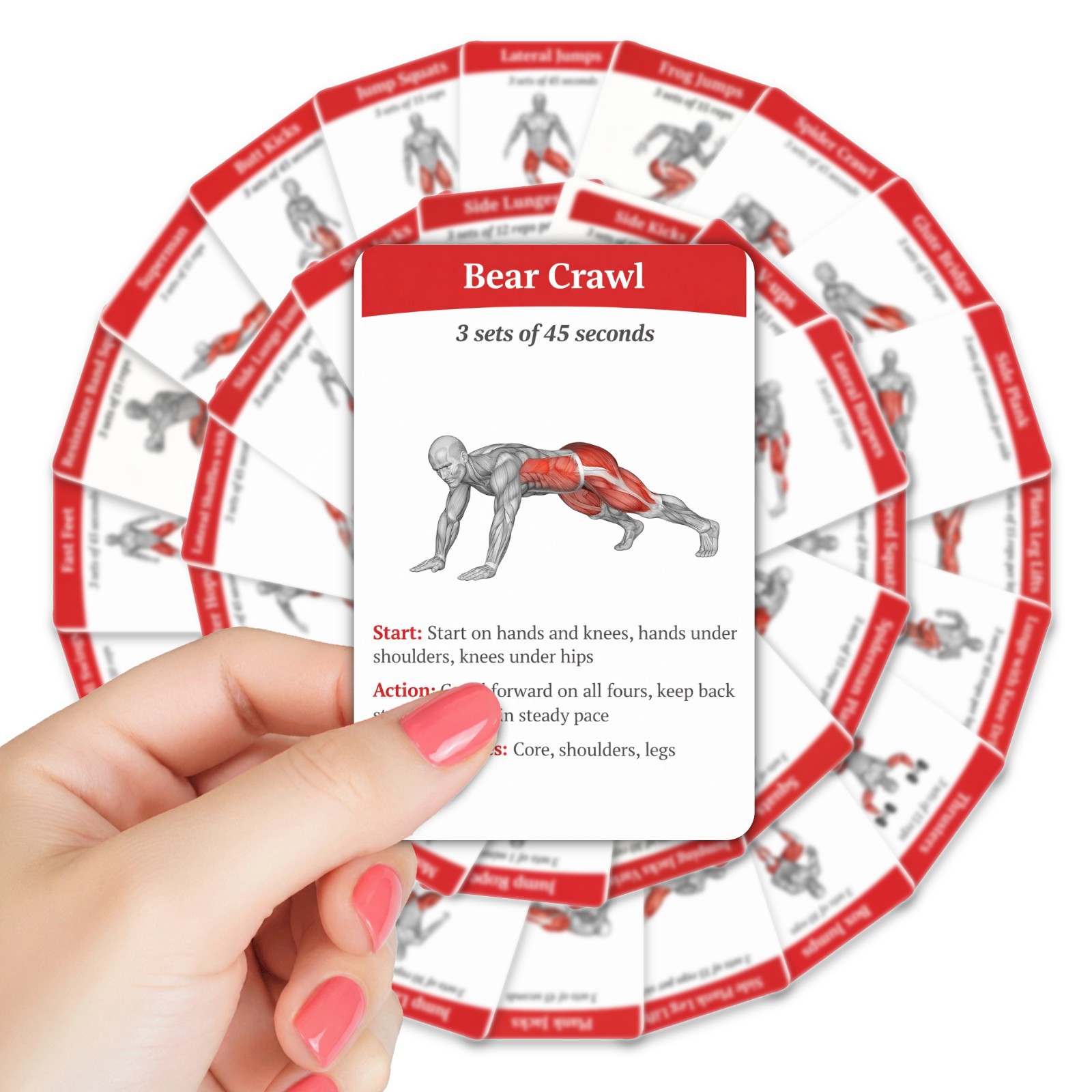 36 carte guida per l'allenamen - Home Gym Guide recensione e prezzo